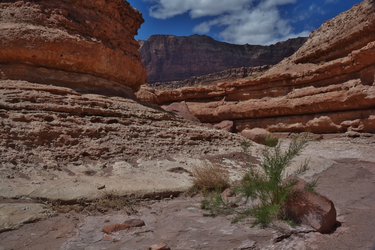 Lower Cathedral Wash